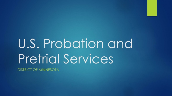 u s probation and pretrial services district