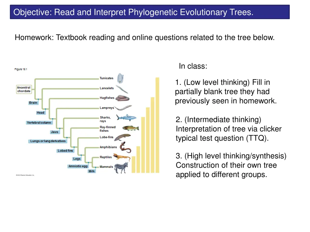 objective read and interpret phylogenetic