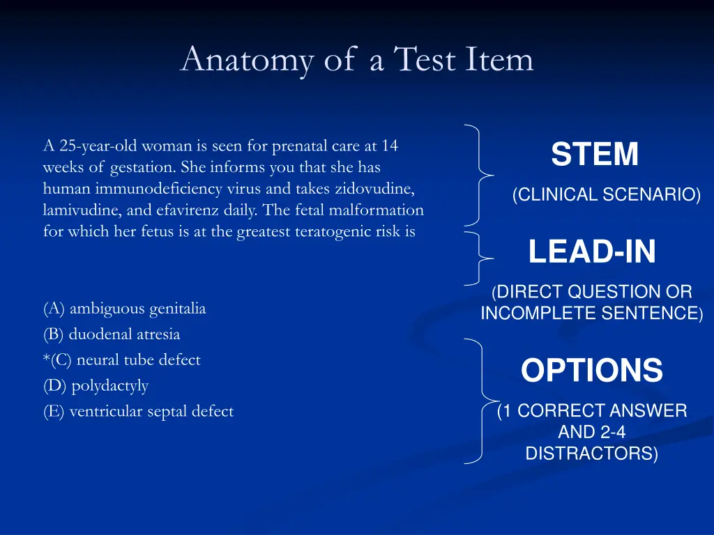 anatomy of a test item