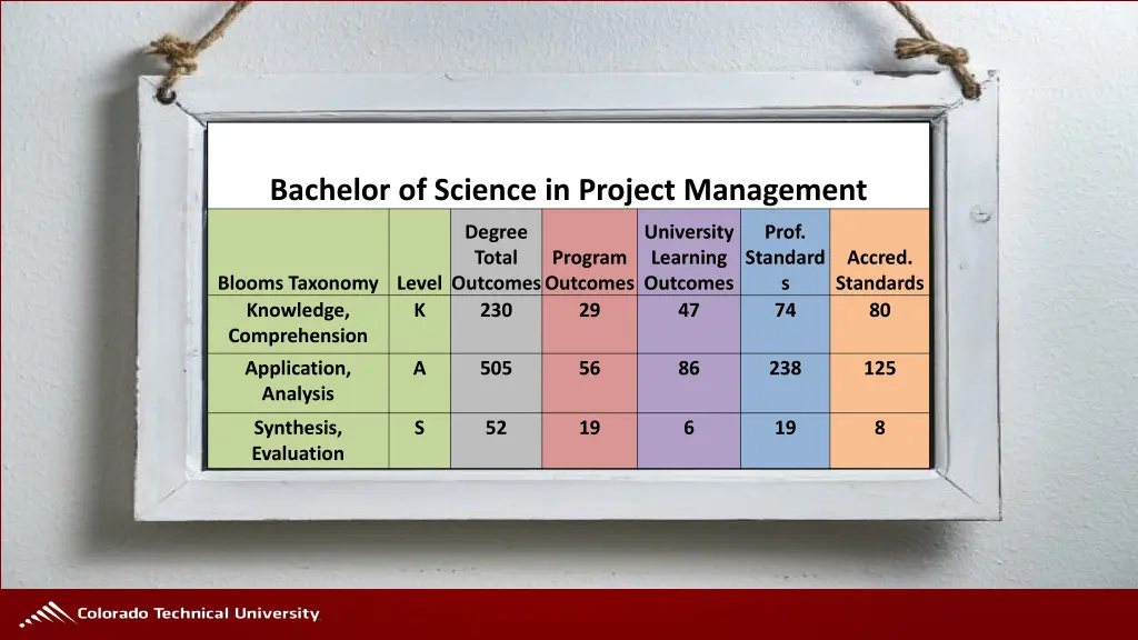 bachelor of science in project management