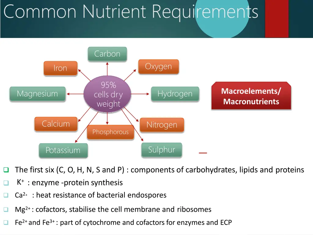 common nutrient requirements