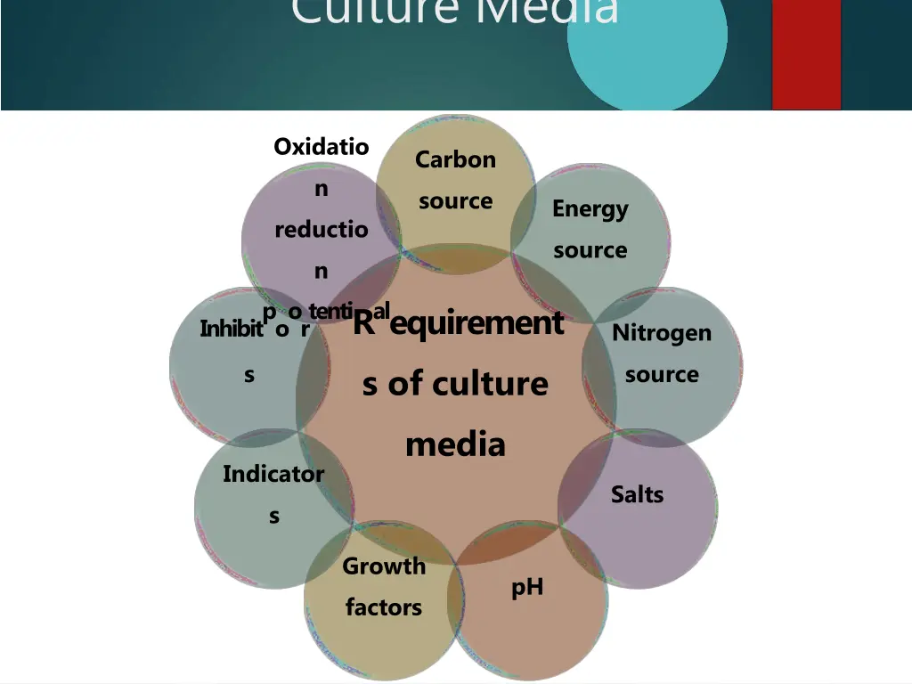 culture media 1