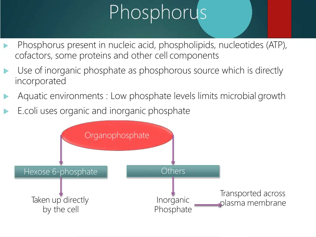 phosphorus