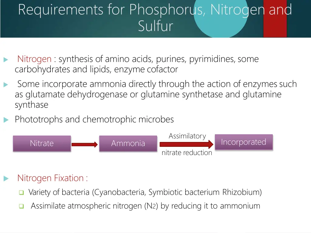 requirements for phosphorus nitrogen and sulfur