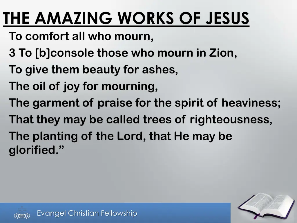 the amazing works of jesus 1