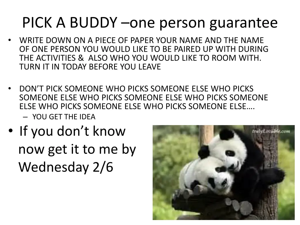 pick a buddy one person guarantee write down