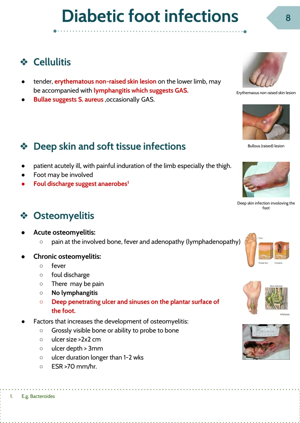 diabetic foot infections 1