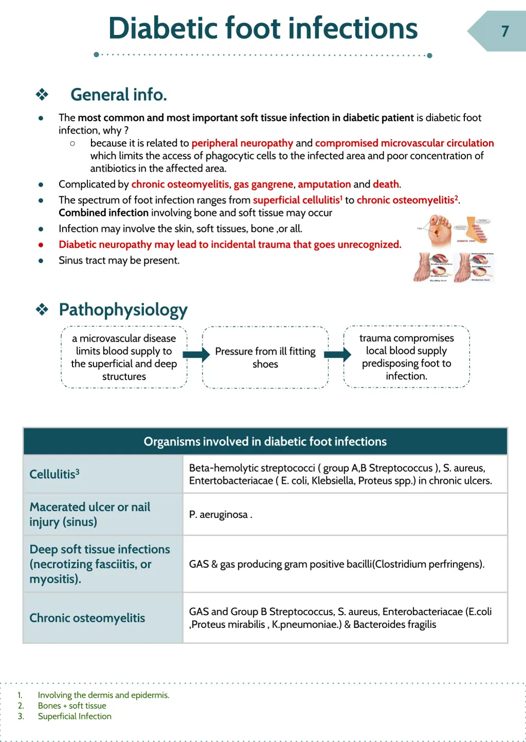 diabetic foot infections