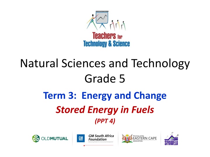 natural sciences and technology grade 5 term