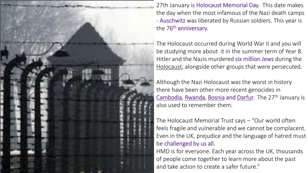 image result for auschwitz