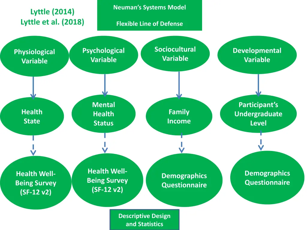 neuman s systems model