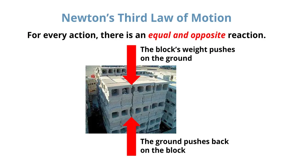 newton s third law of motion for every action