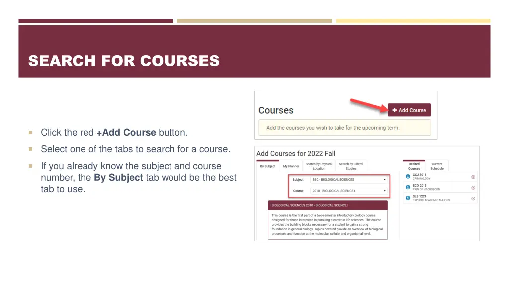 search for courses 1