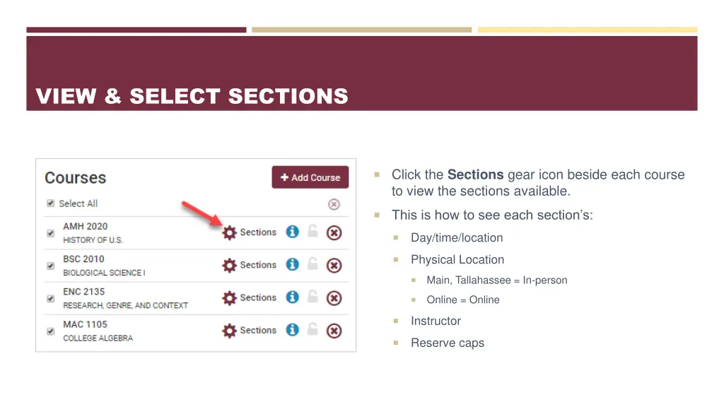 view select sections