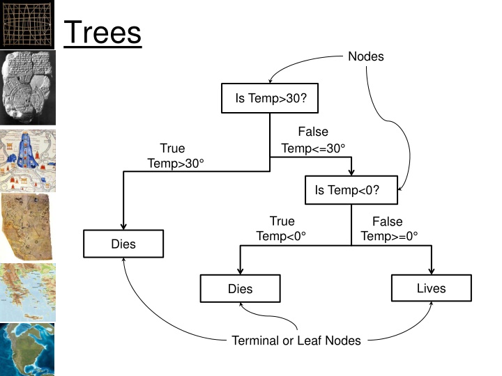 trees