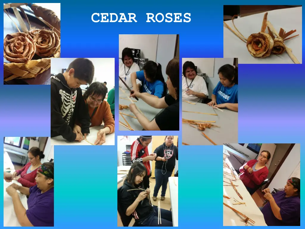 cedar roses