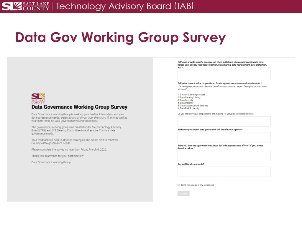 data gov working group survey