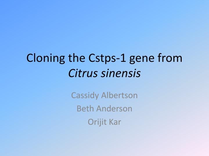 cloning the cstps 1 gene from citrus sinensis