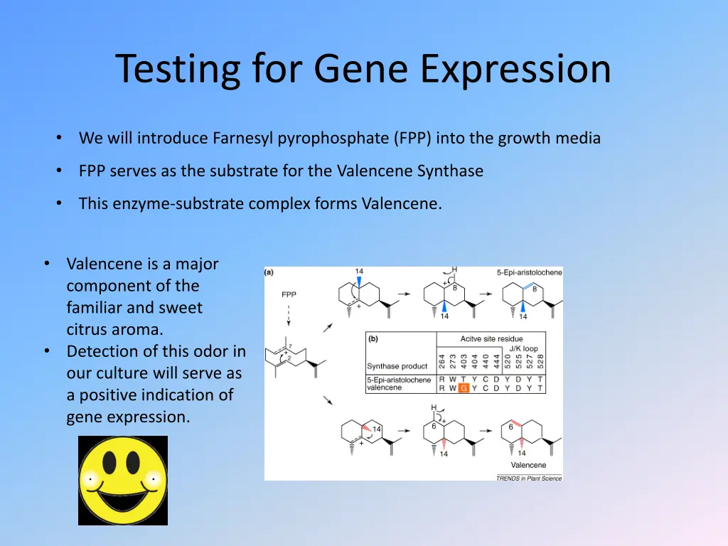 testing for gene expression