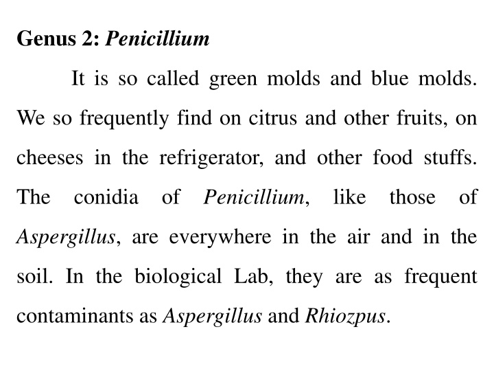 genus 2 penicillium