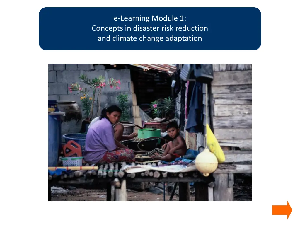 e learning module 1 concepts in disaster risk