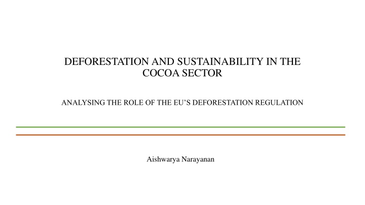 deforestation and sustainability in the cocoa