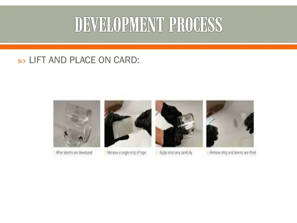 development process 7