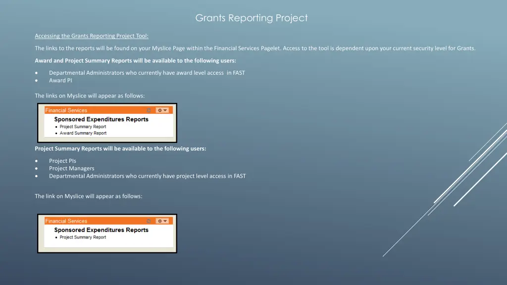 grants reporting project 2