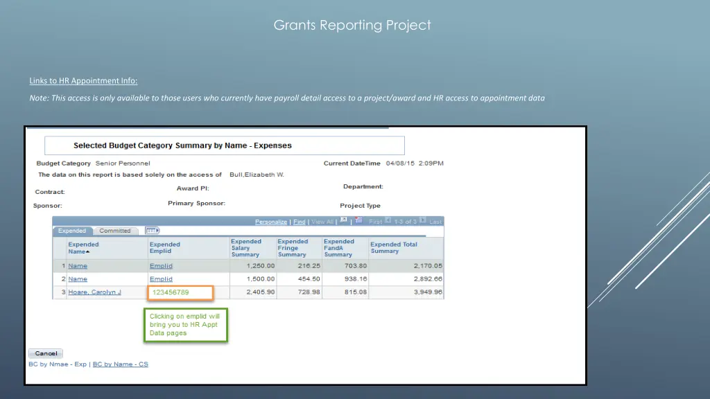 grants reporting project 8