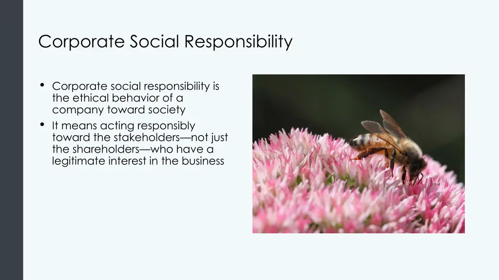 corporate social responsibility