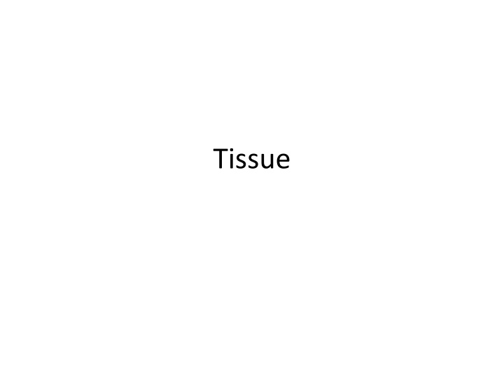 tissue