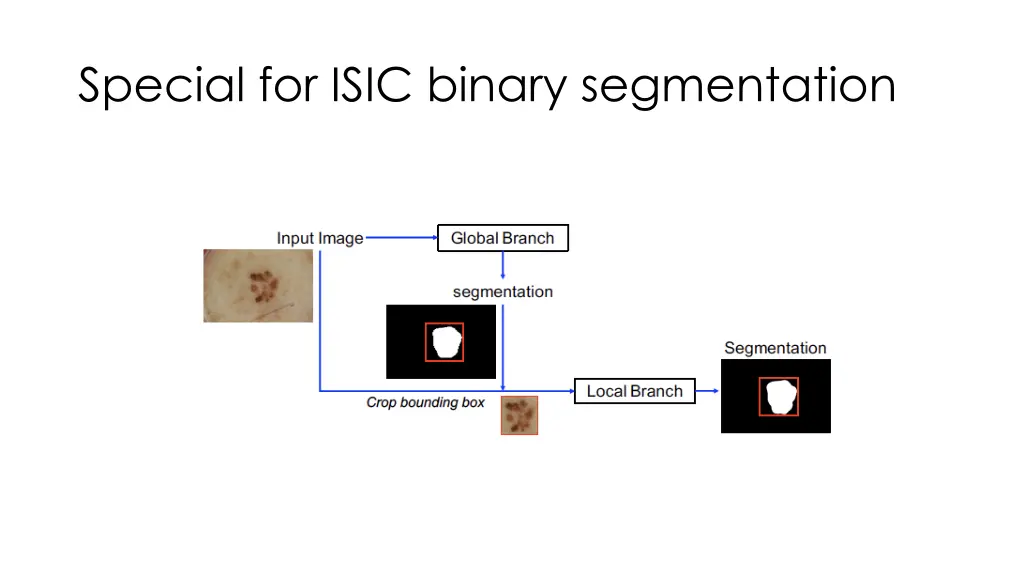 special for isic binary segmentation