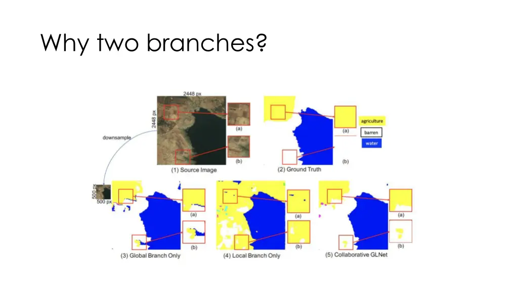 why two branches