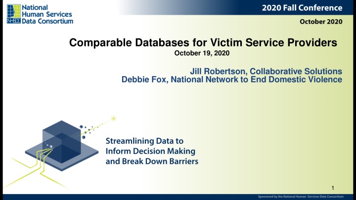 comparable databases for victim service providers