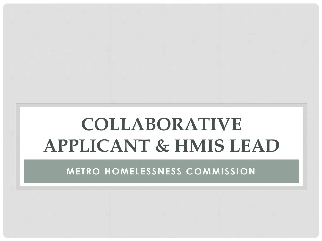 collaborative applicant hmis lead