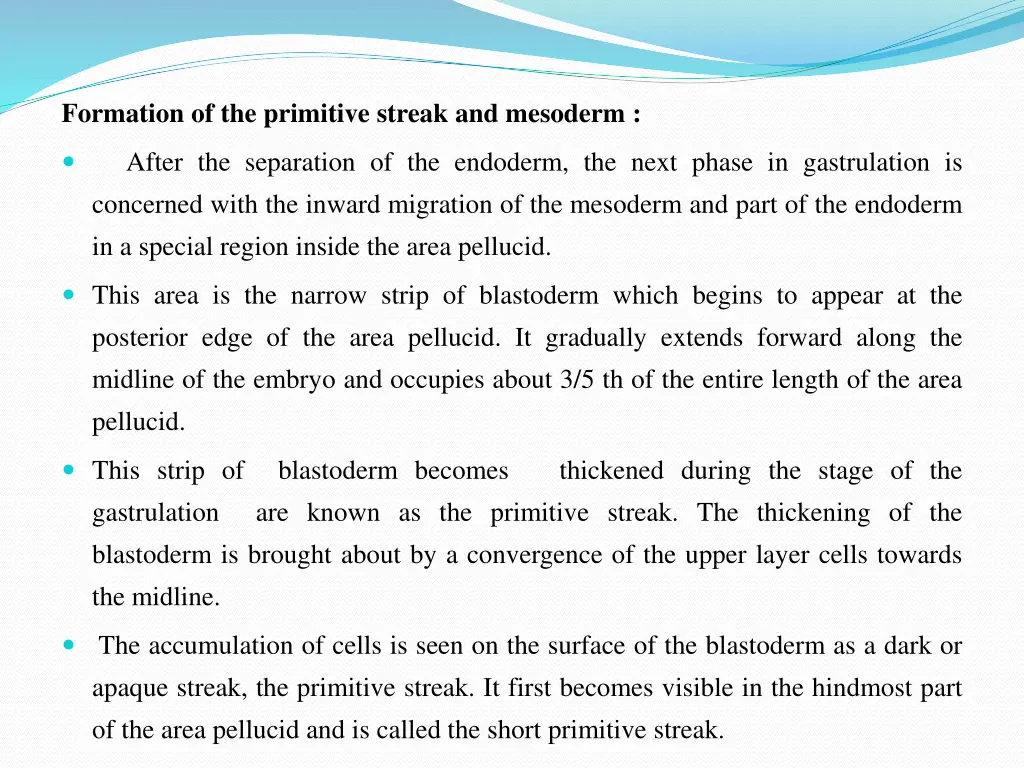 formation of the primitive streak and mesoderm