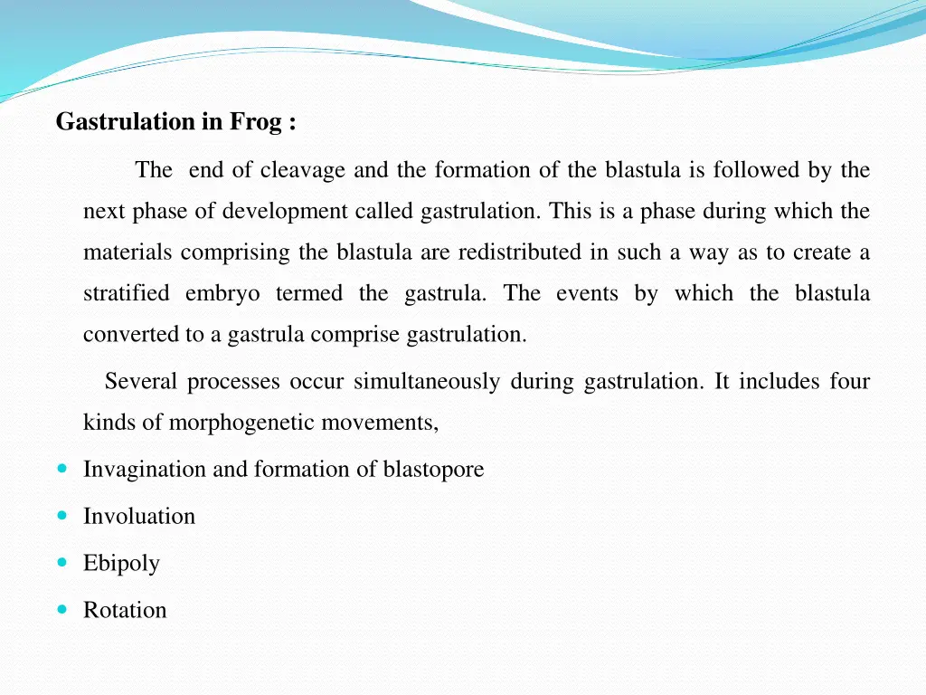 gastrulation in frog