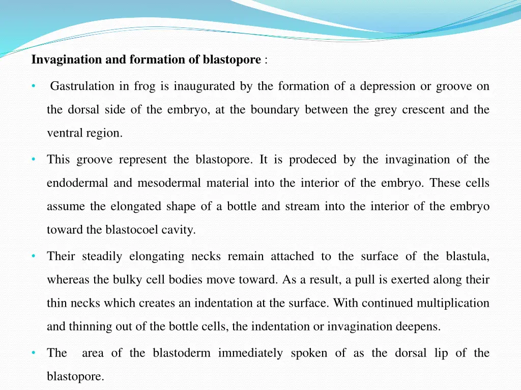 invagination and formation of blastopore