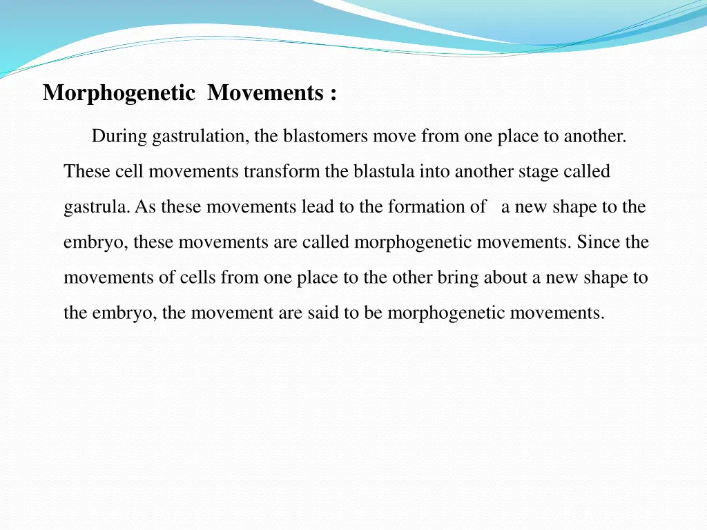 morphogenetic movements