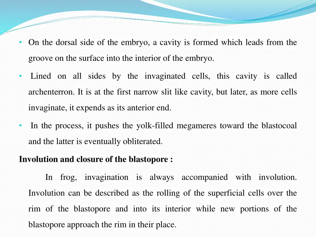 on the dorsal side of the embryo a cavity