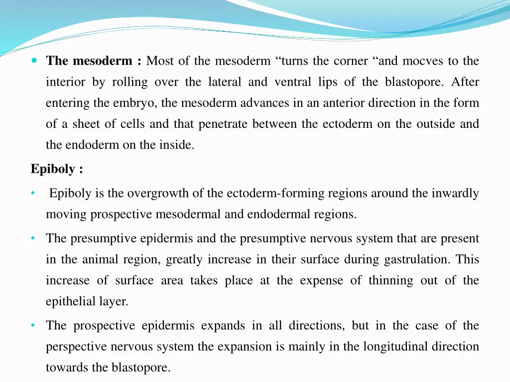 the mesoderm most of the mesoderm turns