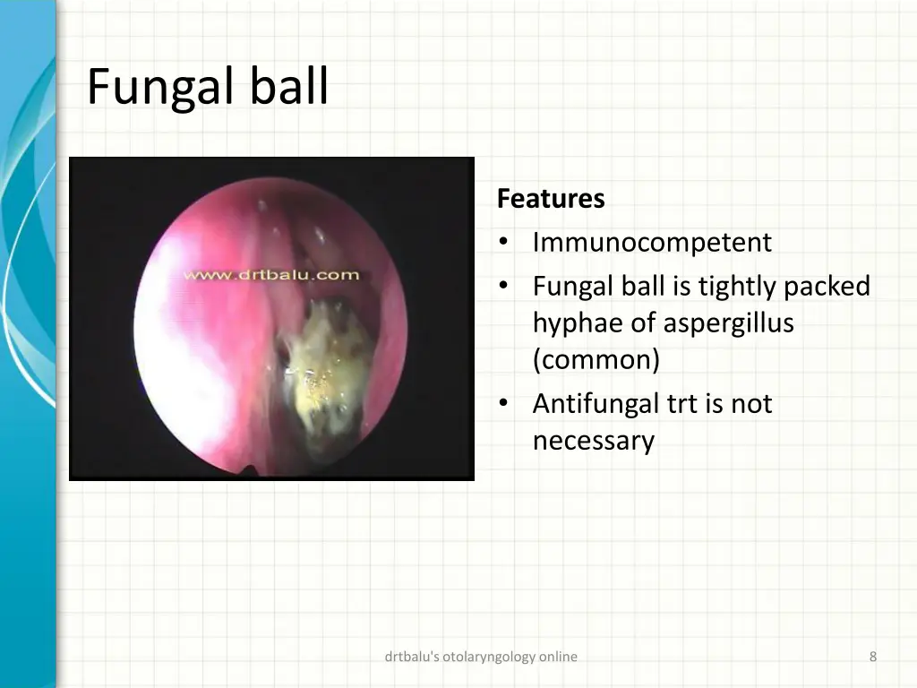 fungal ball