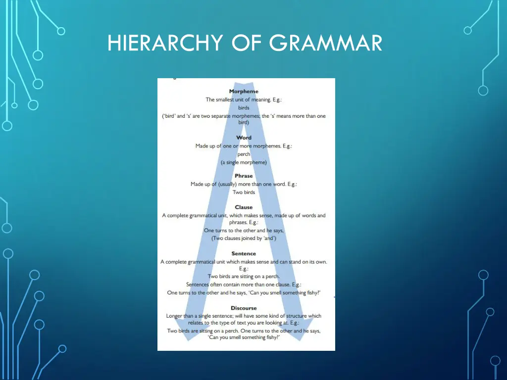 hierarchy of grammar