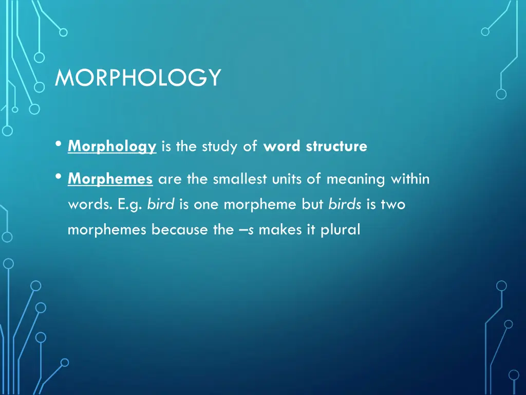 morphology 1