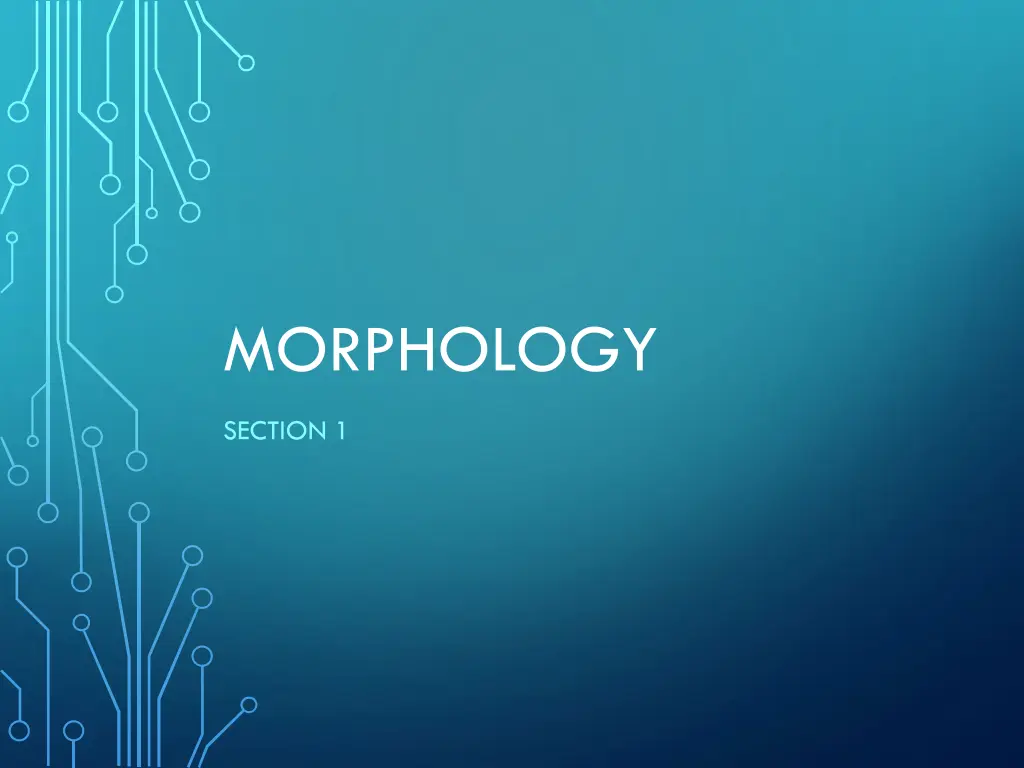 morphology