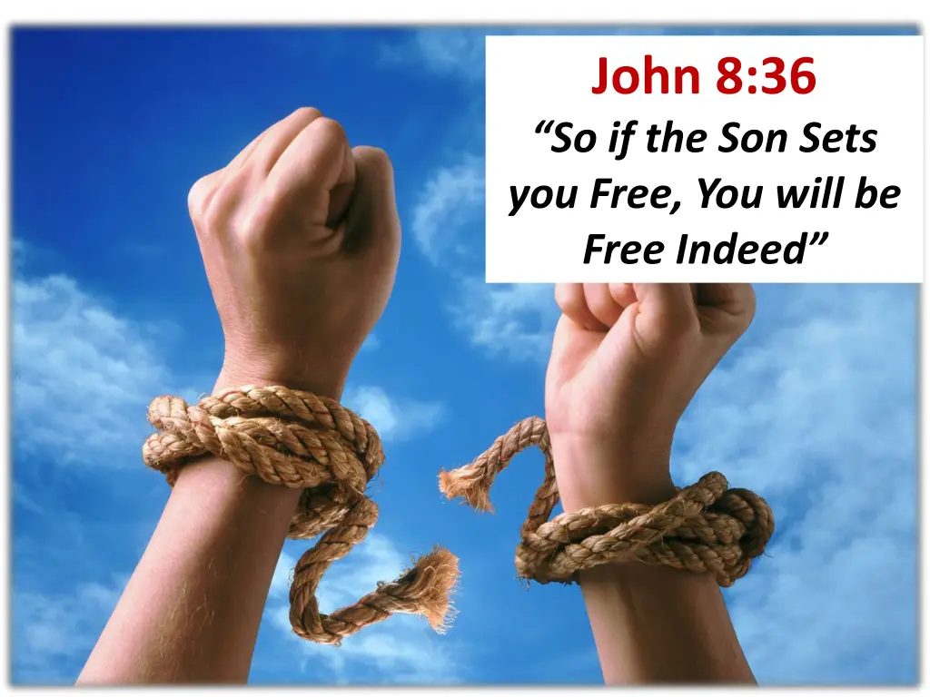 john 8 36 so if the son sets you free you will