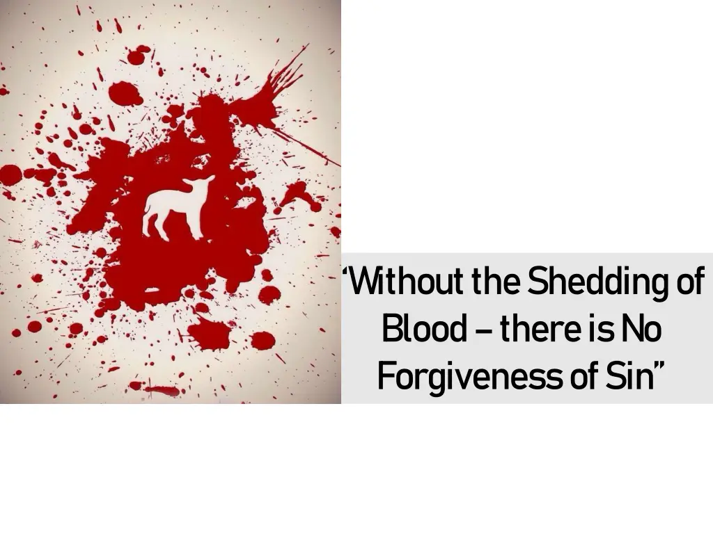 without the shedding of blood there