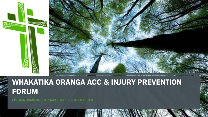 whakatika oranga acc injury prevention forum