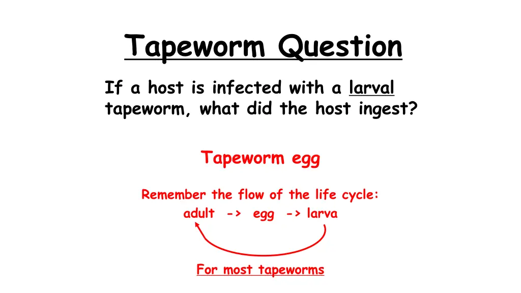 tapeworm question 6