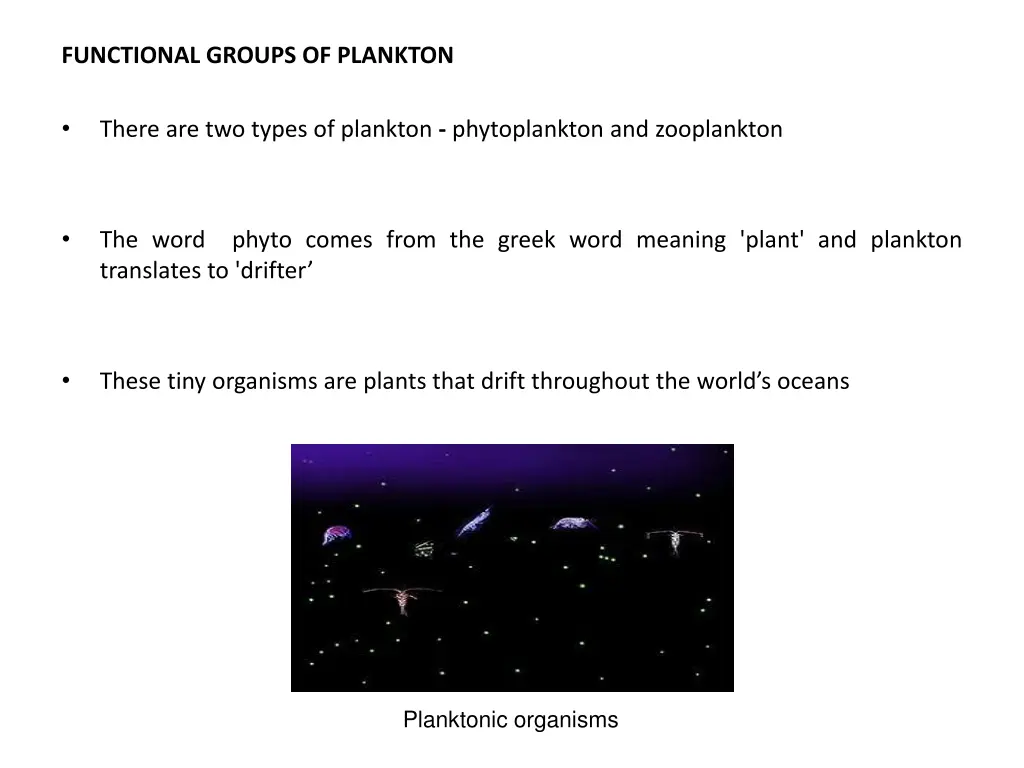 functional groups of plankton